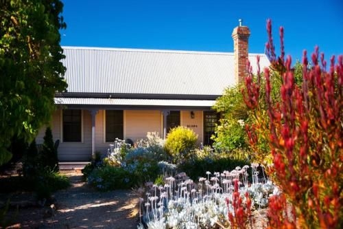 Circa Ivy Prince Daylesford2