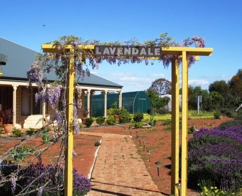 Lavendale Farmstay and Cottages York0
