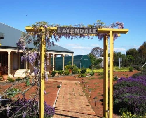 Lavendale Farmstay and Cottages York Lavendale Farmstay and Cottages York