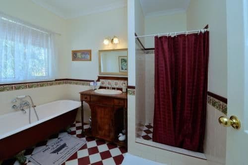 Tree Top Queen Room