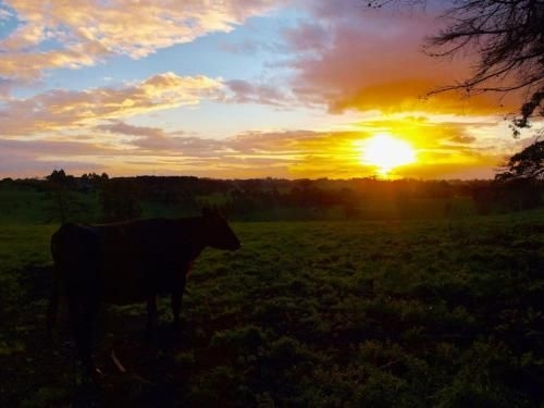 Manderley Park Farmstay B&B2