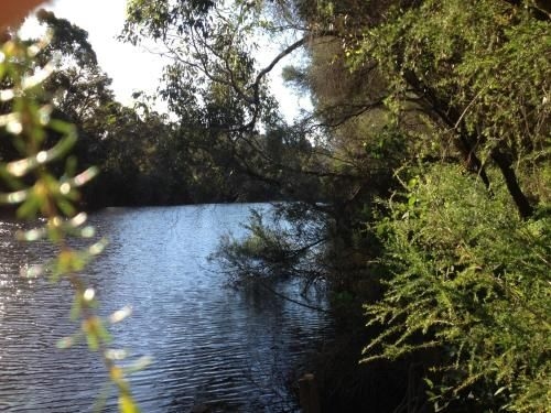 Whispering Pines Bed and Breakfast3
