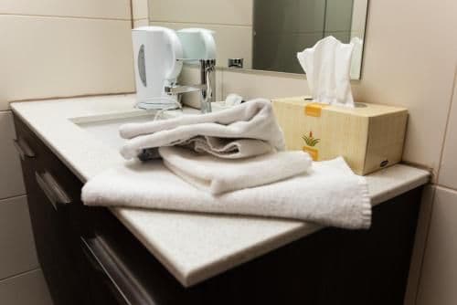 Executive Suite - No Pets