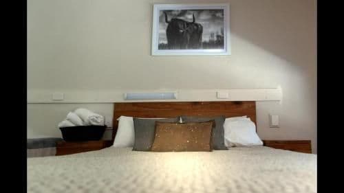 Executive Suite - No Pets