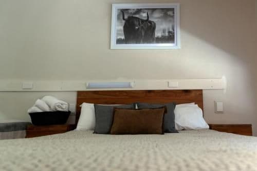Executive Suite - No Pets
