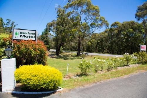 Macedon Black Forest Motel1