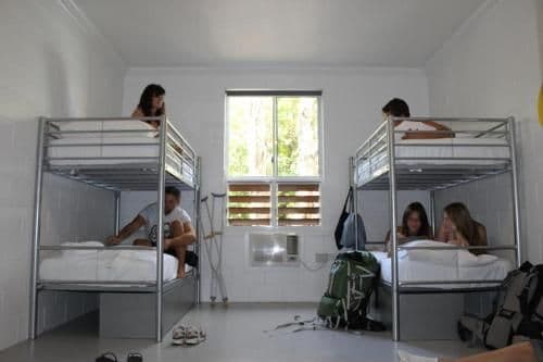 Bed in 6-Bed Mixed Dormitory Room with Shared Bathroom