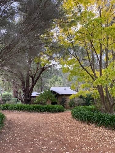 Ibis Deluxe Cottage