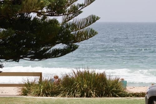 Beachfront One, Mollymook4