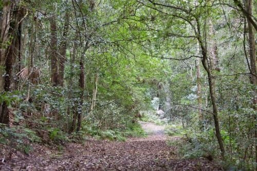Barranca Kangaroo Valley2
