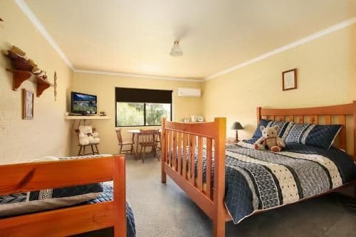 Deluxe Queen Studio - Motel Room 1