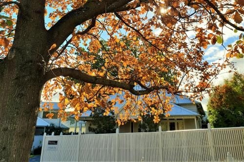 Healesville House - Magnolia House1