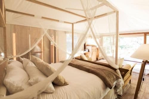 Glamping Tent - Adult Only & No Pets Allowed