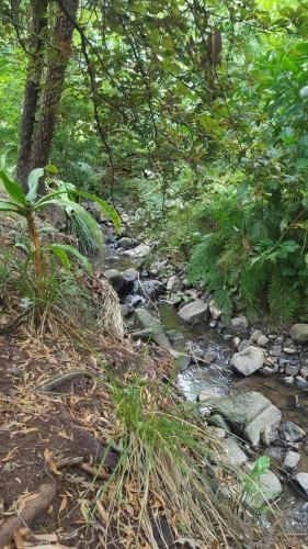 Paddys Creek Retreat2