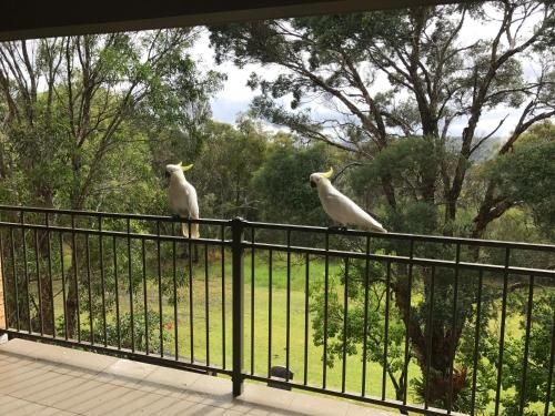 Kookaburra Retreat3