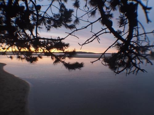 Windsor Cottage2