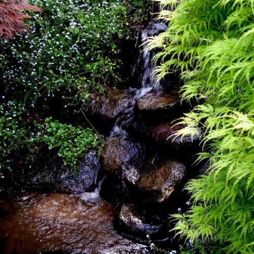 One-Bedroom Suite with Garden View - Watergarden