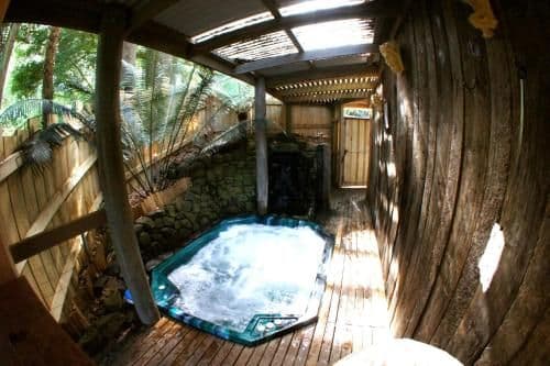 Deluxe Suite with Spa Bath - Music Room