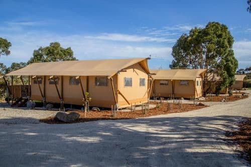Deluxe Three-Bedroom Glamping Tent - Safari