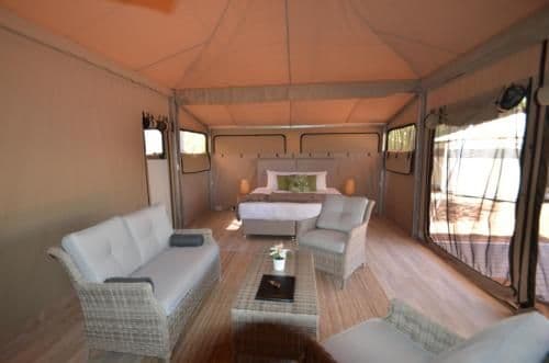 Luxury King Tent (Ensuite)