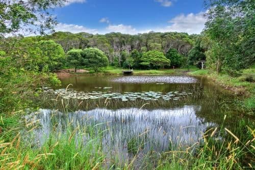 Two-Bedroom Cottage - Kangaroo Lodge