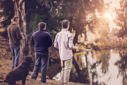 Four-Bedroom House - Evanslea House