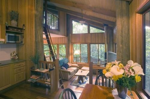 Springbrook Lyrebird Retreat4