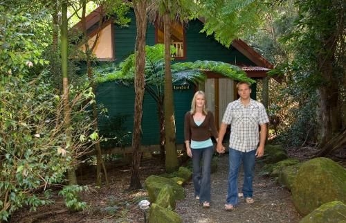 Springbrook Lyrebird Retreat3
