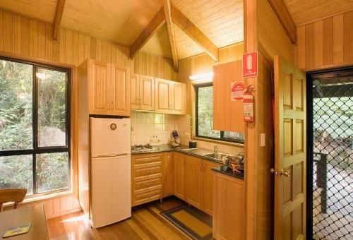 Springbrook Lyrebird Retreat2