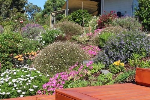 Nyora Lodge B&B4