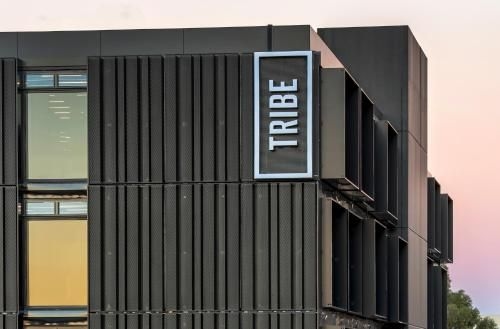 Tribe Perth0
