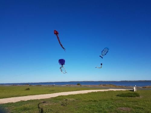 Coorong Cabins4