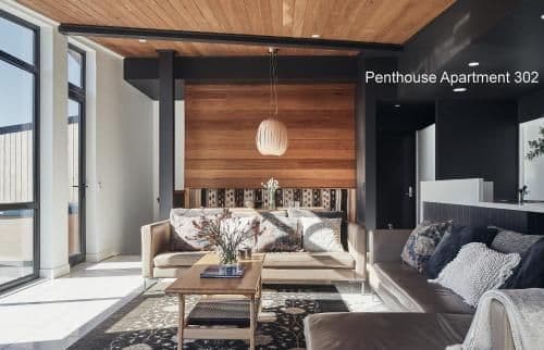 Penthouse Apartment