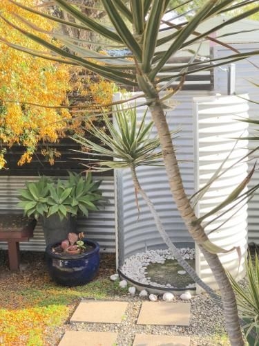 Milly's @ Middleton - Pet-Friendly3