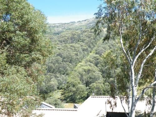 Mowamba E12