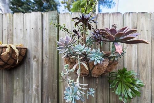 Bright and airy home tucked away in funky Newtown (Bright And Airy Home Tucked Away In Funky Newtown)3