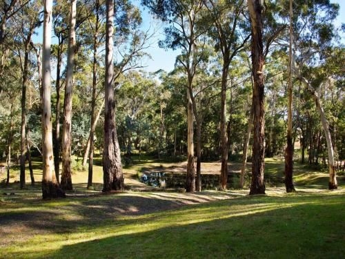 Gumnut Cottage Daylesford (Gumnut Cottage)1