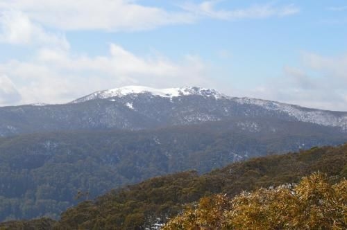 Ski View 42