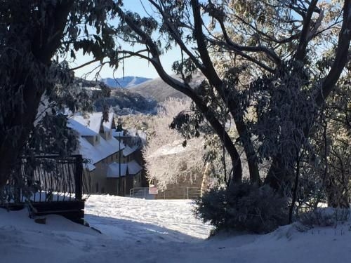 Ski View 43