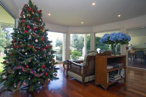 Holiday Home