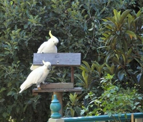 Aldgate Valley Bed and Breakfast4
