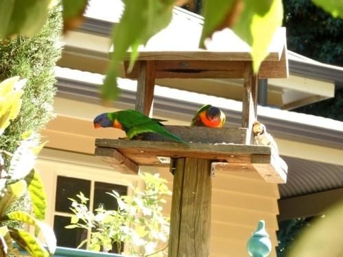 Aldgate Valley Bed and Breakfast3