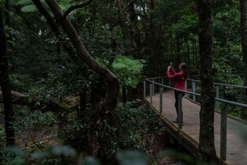 Explore the Blue Mountains on foot1