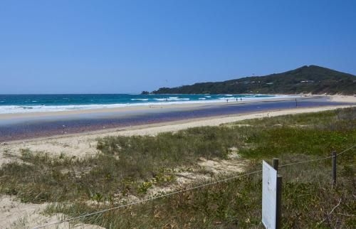 The Palms 2 @ Clarkes Beach2