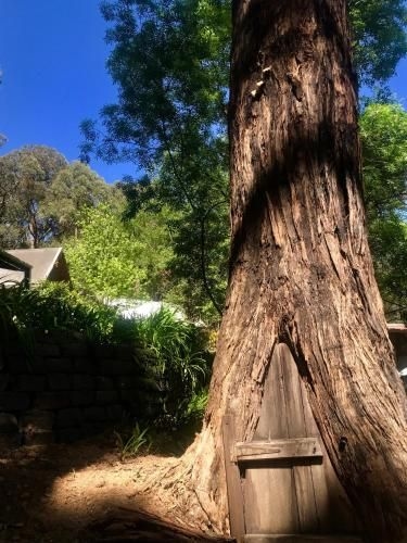 Emerald Star Cottages1