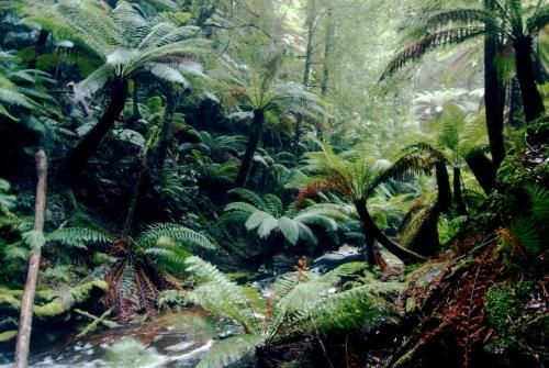 Corinna Wilderness Experience1