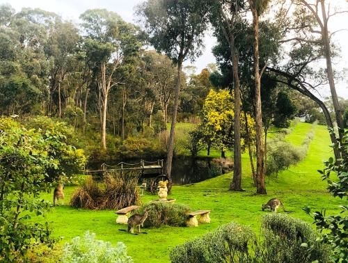 Countryside Retreat Intimate Studio Hepburn - Daylesford0