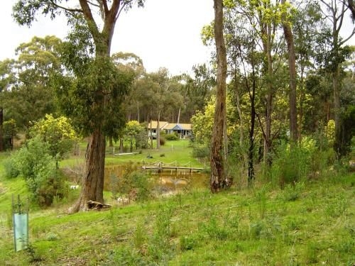 Countryside Retreat Intimate Studio Hepburn - Daylesford2