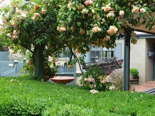 Two-Bedroom Cottage - Coachouse