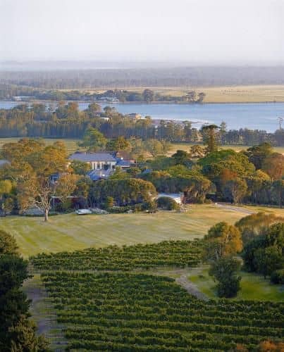 Coolangatta Estate Berry Coolangatta Estate Berry